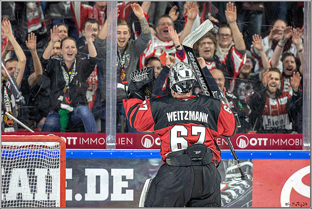 DEL; Koelner Haie - Thomas Sabo Ice Tigers Nuernberg, 19.02.2019